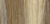 Golden Ash Blonde(#12/24)