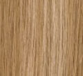 Blonde Highlight(#18/613)
