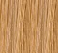 Blonde Highlight2(#27/613)