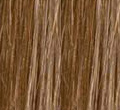 Brown Blonde2(#8/613)