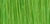 Green(Green)