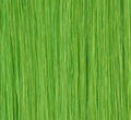 Green(Green)
