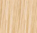 Bleach Blonde(##613)